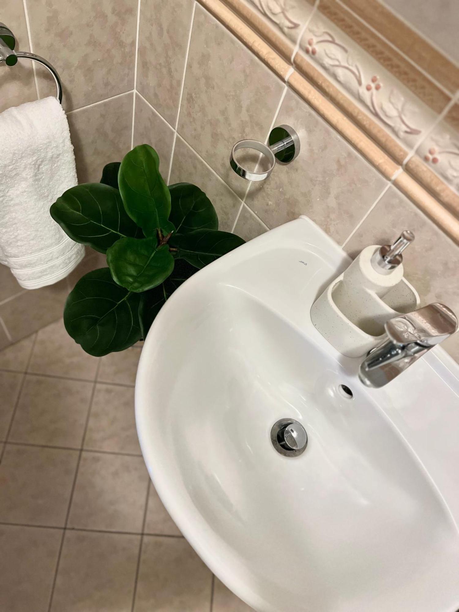 Apartment Tina - Old Town, Ac, Free Private Parking Bratislava Dış mekan fotoğraf