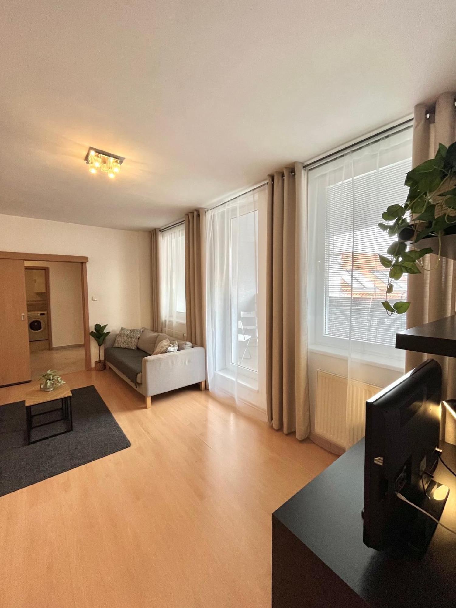 Apartment Tina - Old Town, Ac, Free Private Parking Bratislava Dış mekan fotoğraf